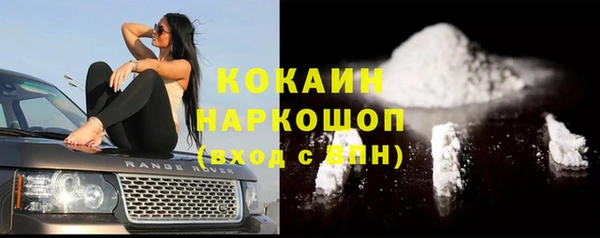 шишки Балахна