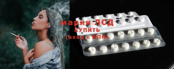 шишки Балахна