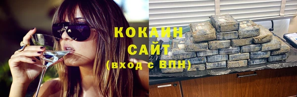 шишки Балахна