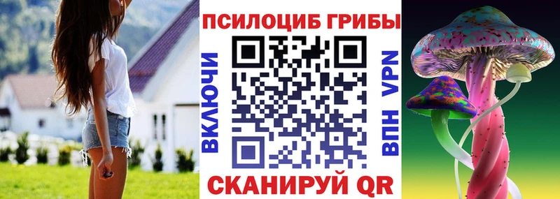 где продают   Сортавала  Галлюциногенные грибы ЛСД 
